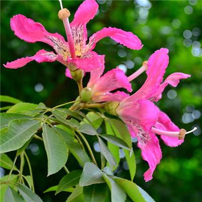 B体育登录APP下载手机app下载