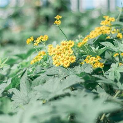 B体育登录APP下载手机app下载截图